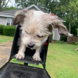 Meet your Posher, Lori